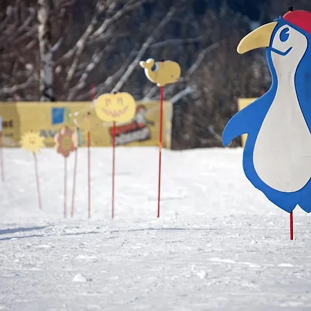 בית אירוח U Vanu