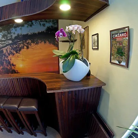 בית אירוח U Vanu בנצקו